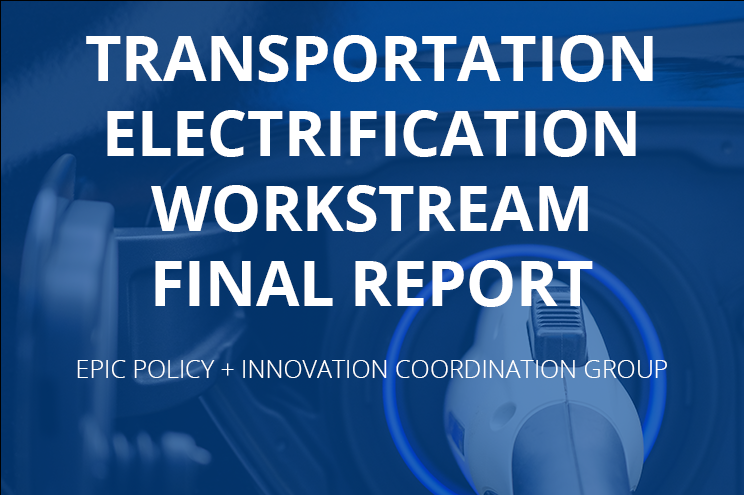 Transportation Workstream Final Report