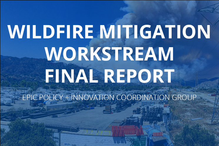 Wildfire Mitigation Workstream Final Report